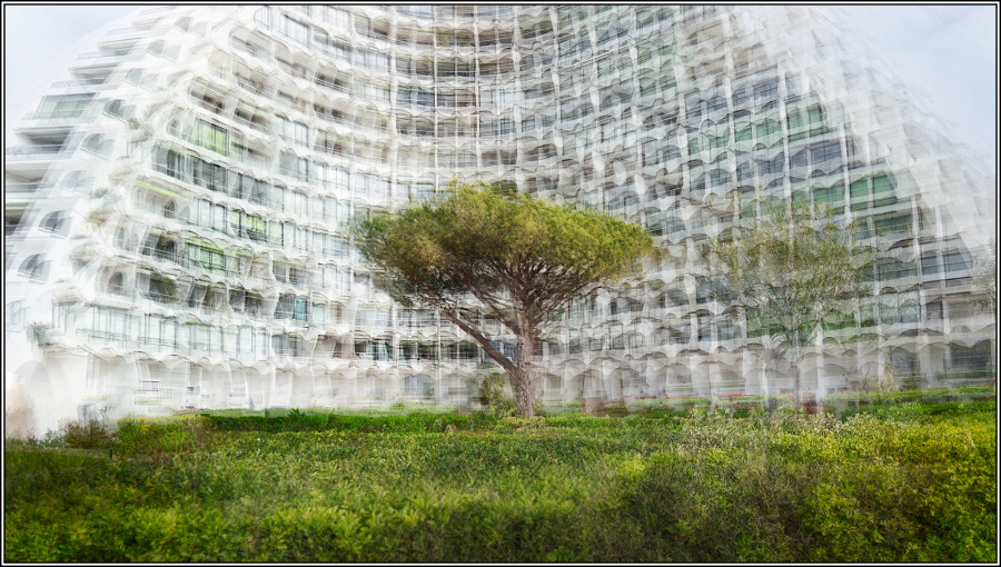 Challenge de l'UR11 2025/2026 - 3ème manche "Nature urbaine"